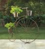 Old-Fashioned Bicycle Plant Stand