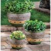 Jade Planters Trio