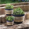 Cobalt Planters Trio