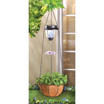 Solar Hummingbird Hanging Basket