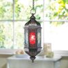 Floret Prism Hanging Lantern