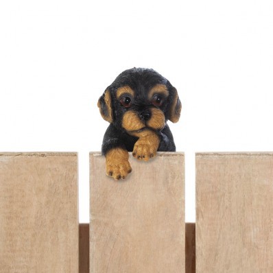 Climbing Cutie Dotson Puppy "Parker"